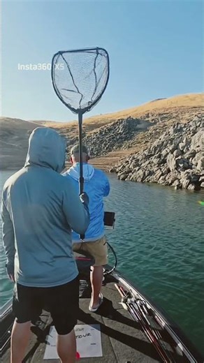 4lb 9oz spotted bass!! #bassfishing #nitroboats #fishing #millerton