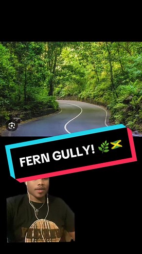 Exploring the Mysteries of Fern Gully in Jamaica