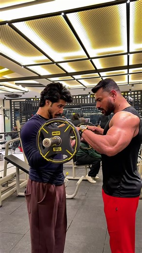 Train to Build Huge Bicep Muscles Effectively