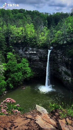 Explore Fall Creek Falls State Park for a Perfect Day Trip