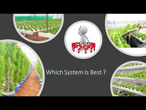 Which Hydroponic system is best for Commercial Farm?