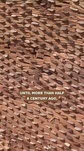 40K views · 539 reactions | 直 The ancient stone behind every threshing board #reels #traditions #threshing #grains #ancienthistory | Eugenio Monesma Documentaries | Facebook