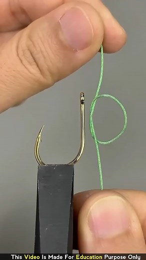 Amazing way of catching fish!! #shorts #shortsfeed #viralvideo #viralshort #shortsviral #fact #factreels #unkownfact #Amazing #way #of #catching #fish #viralreels | Quick Awere