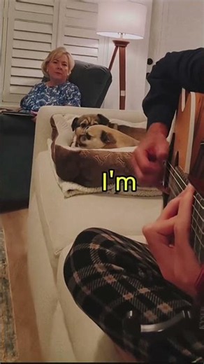 Song-I’m sorry mom by MarinoMakesMusic #viralsong ‪@MarinoMakesMusic‬