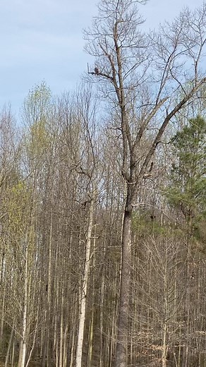 Josh Skinner on Reels