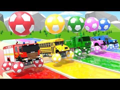 Bébé Requin + Bingo + La Chanson Les Roues du Bus – Véhicules Colorés ! – Comptines pour Bébé