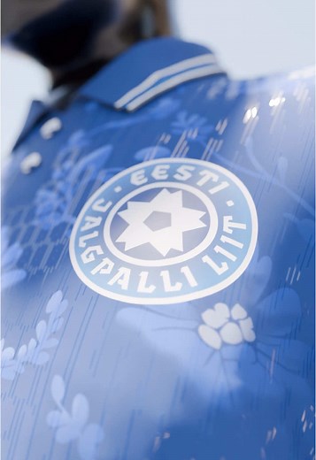 Estonia National Football Jersey Design by JerseyBird