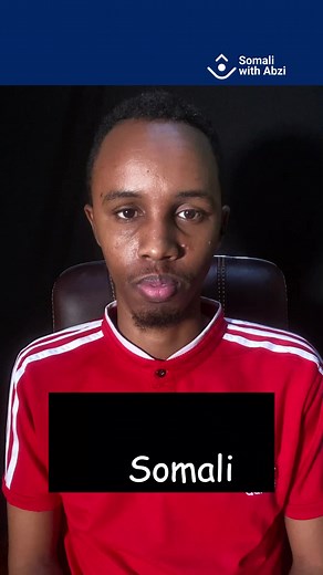 Learn Somali Present Perfect Tense with Abzi | Language Course