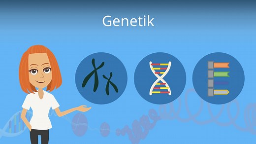 Genetik — häufigste Fragen