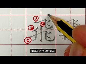 한자 날 비(飛) 쓰는 법ㅣ한자 잘 쓰는 요령