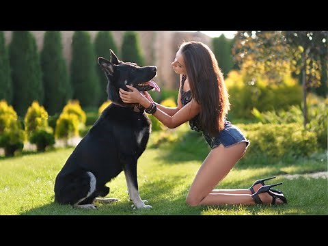 These Are 10 Best Dog Breeds For Singles