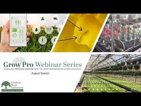 Grow Pro Series: DIF & Graphical Tracking