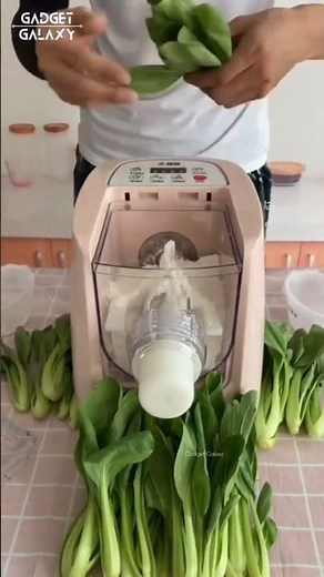 Make 12 Types of Pasta Effortlessly with the SYSVENT Pasta Maker!