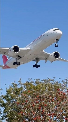 From Madrid to LA | Iberia A350-900 Touches Down at LAX 🛬