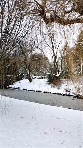 Snow and wind ASMR #snowfall #snow #wind #mindfulness #snowfall #calmvibes #naturetherapy