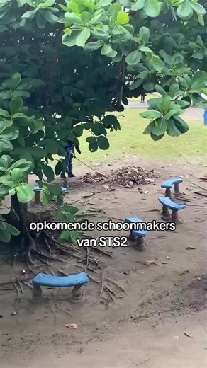 wie kent deze schoonmakers 🤔#viral #tiktoksuriname🇸🇷 #sts2