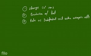 Differentiate between cell wall andList the functions of mitoc... | Filo