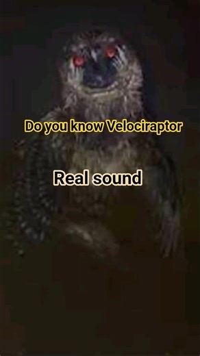 LOCIRAPTOR Sound Effects (HD) | 😱The Scariest Raptor Roars & Calls🥶