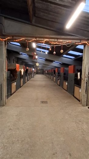 Nous vous souhaitons un bon réveillon et nos meilleurs vœux pour 2026 ! ​On vous souhaite: ➡️ Une nouvelle saison remplie de moments de complicité avec vos montures, de progrès et de rires aux écuries ➡️​ Des chevaux d'humeur câline (et pas trop de roulades dans la boue avant les cours). ➡️​ Des talons bien descendus et des mains légères. ➡️​ Beaucoup de carottes et de pommes en stock. ➡️​ Et surtout, une santé de fer pour vous et vos familles. | Écuries des 3 Monts