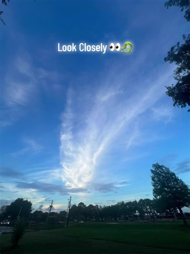 An enormous dragon in the sky 🐉👀 #sky #cloud #skywatcher #dragons #mystical