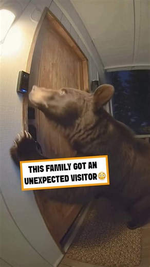 9.1K views · 34 reactions | Family gets a surprise visitor  | Superzoo | Facebook