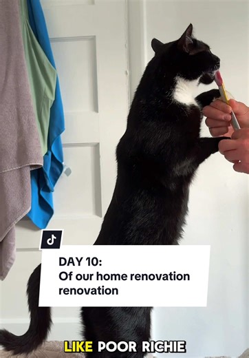 Day 10 of Our Home Renovation: Bathroom Overhaul Progress