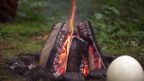 Burning an Ostrich Egg & Melting Gummy Bears—Wild Combo!🔥