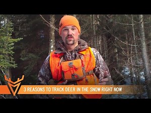 3 Reasons to Track Deer in the Snow RIGHT NOW | Whitetail How To | Wired to Hunt