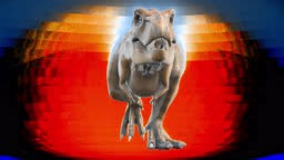 The T-Rex dinosaur runs in a looping seamless animation. Reptile on...