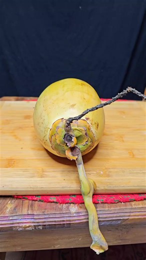 অযোগ্য ভালোবাসা - গল্প পর্ব ১৮