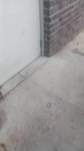 Black Betty Engine Running at DFWSpeedSyndicate - Syndicate6 Showcase