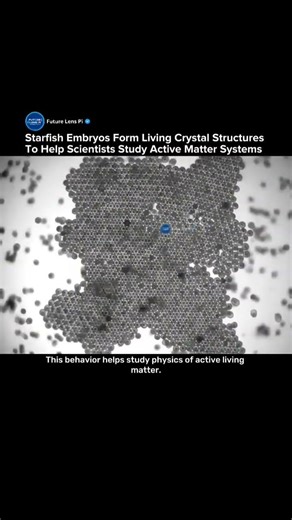 Scientists Discover Living Crystals Formed by Starfish Embryos #biology #starfish #tech #shorts