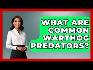 What Are Common Warthog Predators? - The Wild Life Explorer