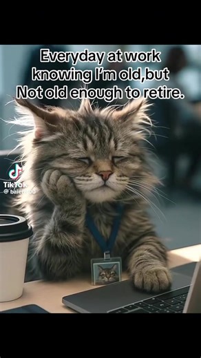 Bruce_Porter216 (@bruce_porter216)’s videos with original sound - Bruce_Porter216