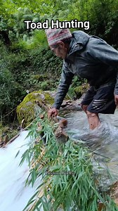 6.6M views · 56K reactions | #toad #toadhunting #frog #facebookreel | Bishnu Budha | Facebook