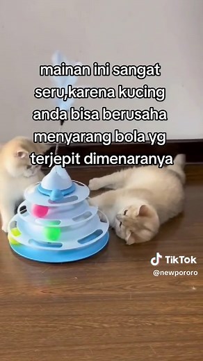 new pororo on TikTok