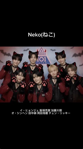 個人的希望楽曲まとめ✧*｡ 「この僕も君に夢中な猫」はリッキーにしか聞こえない🎶 #日プ新世界 #日プ #おすすめ #PRODUCE101JAPAN #CapCut
