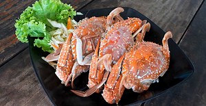 VIETNAMESE SEAFOOD EXPORTS INCREASE