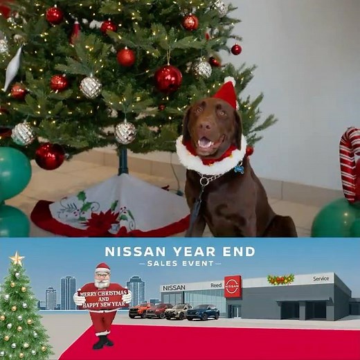 New Nissan for the Holidays #christmas #newyear #nissan
