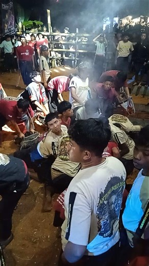 BANTENG BOLO DEWO On Clips Story | #short #seni #budaya #carnaval #sports #trip #subscribe