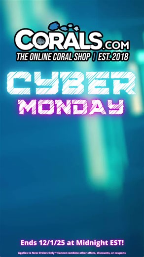 Cyber Monday is Live Now! 30% Off All Corals! Our biggest sale of the year! Corals.com . . . . #corals.com #livecoral #reeftank #coral #frags