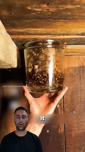 Shocking Chinese Wasp-Eating 😲 #fblifestyle | WreckerMan Reacts