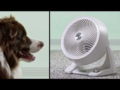 Vornado Energy Smart™ 633DC Air Circulator - A Cooling Experience Unlike Any Other