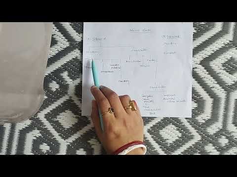 Different types of nerve blocks