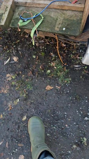 2.4K views · 32 reactions | Gotta git gone, tried having a working vehicle 3+times so I could see everyone I wanted on Cape Breton Island but everytime someting is fixed, something goes. Admitting defeat and getting towed to my Buddy's (my new place) in Sydney before it gets even worse. I want to thank al of Pictou County but especially the town of Pictou in perticular...Y'all are amazing and I won't ever forget you and I will visit- by bus...F this van. | Jeb Patterson | Facebook