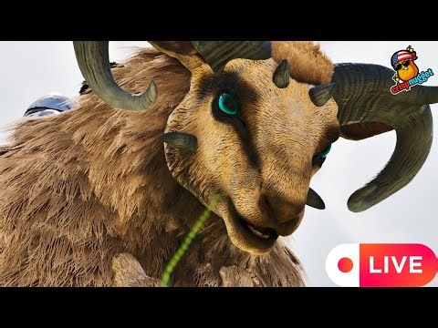 THE GREAT OVIS RACE!- ARK ASTRAEOS