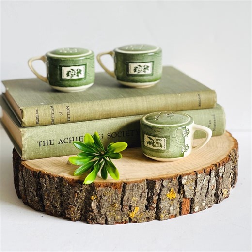 Vintage Colonial Homestead Salt and Pepper Shaker Set: Green Transferware - Etsy