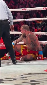 Jake Paul got knocked out 😳