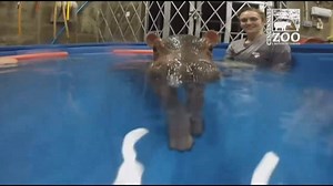 840K views · 11K reactions | STOP WHAT YOU'RE DOING-- Watch Fiona the...