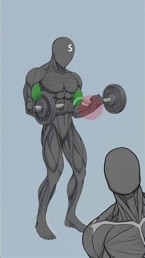 The Bicep Growth "Cheat Code" (Wrist Hack)